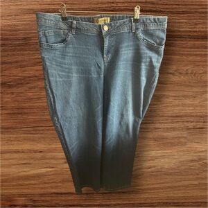 Democracy Women’s Size 18 Girlfriend Style Classic Blue Denim Jeans 35.5” Long
